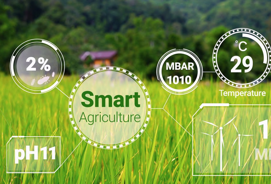 SUSTAINABLE AND SMART AGRICULTURAL SUPPLY CHAIN DEVELOPMENT IN MEKONG COUNTRIES