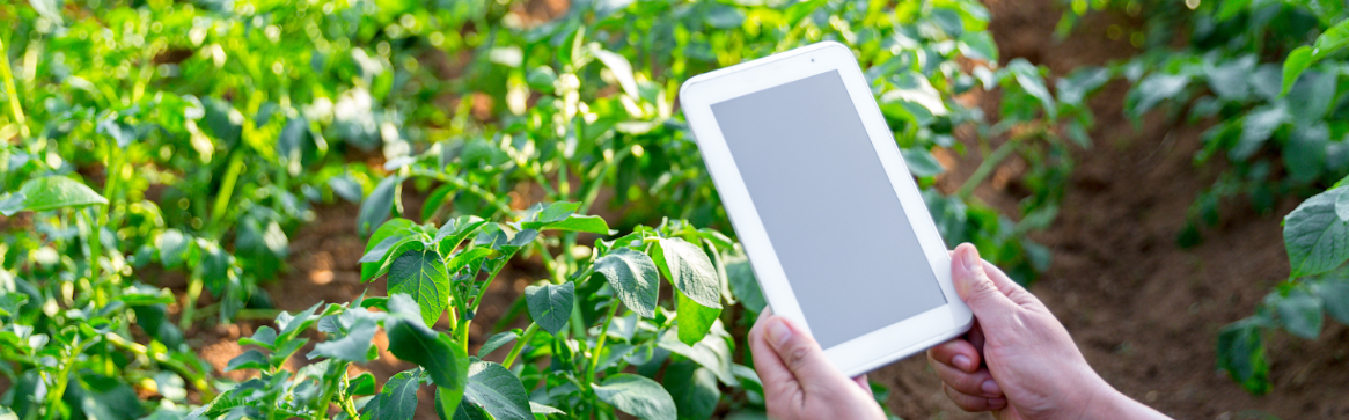 DEMONSTRATION OF MODEL COMMUNITY FORESTS TO PROMOTE COMMUNITY FORESTRY DEVELOPMENT AND IMPROVE LIVELIHOOD OF LOCAL COMMUNITY