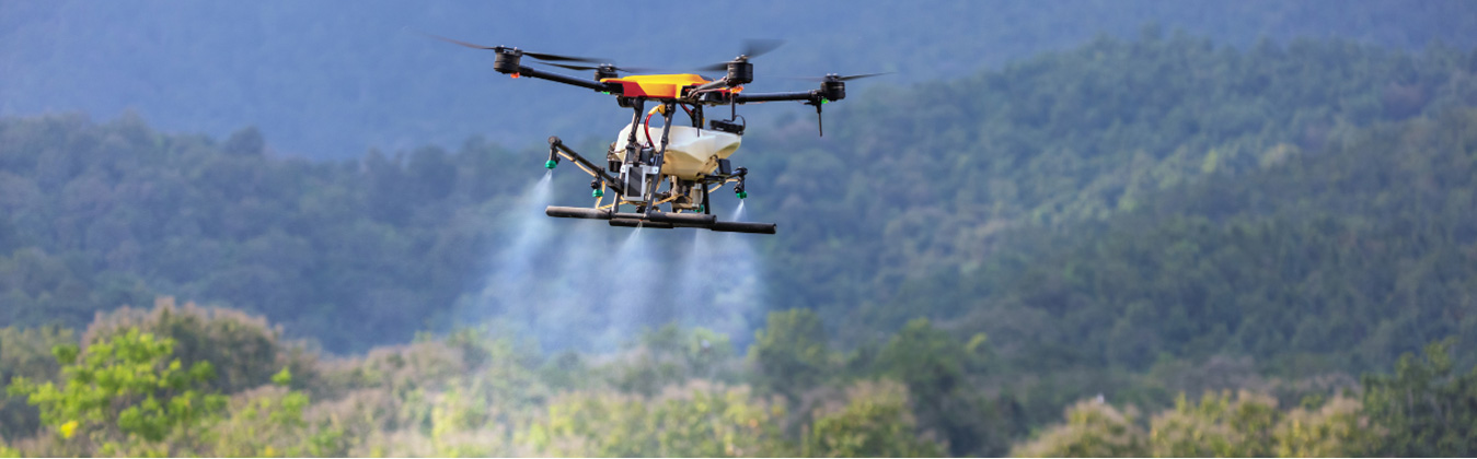 INFORMATION AND COMMUNICATION TECHNOLOGY (ICT) FOR ADAPTATION TO CLIMATE CHANGE AND FOREST FIRE MANAGEMENT IN MEKONG REGION